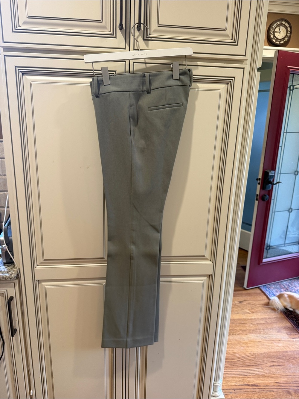 Ann Taylor women’s Dress Pants in Sage Green
